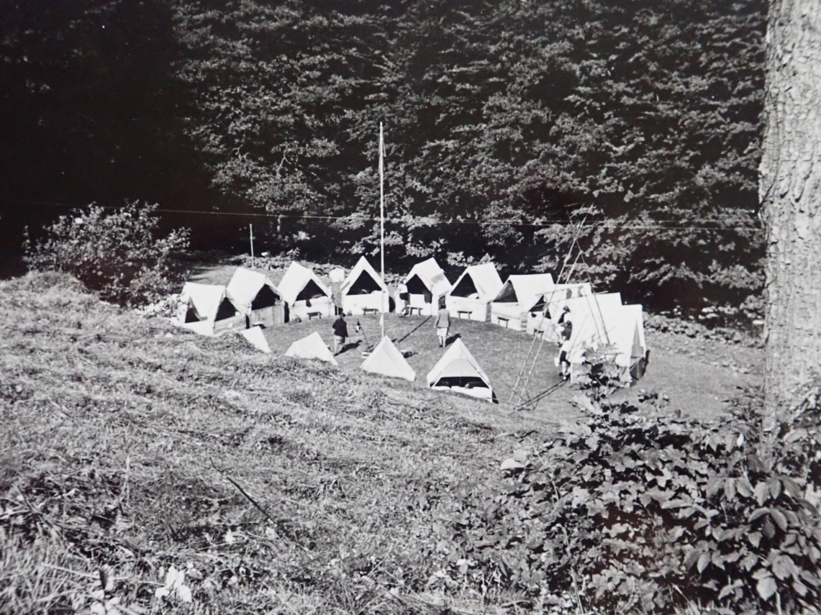 T�bor skautek v Anton�nsk�m �dol� v Orlick�ch hor�ch v roce 1946